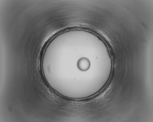 X0000111530877200908041302