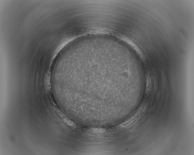 X0000111530878200908041302