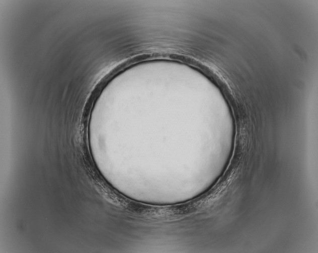 X0000111530879200908041302