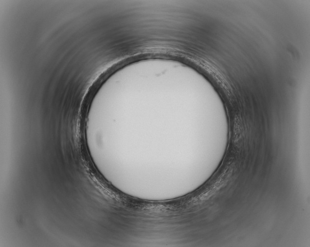 X0000111530880200908041302