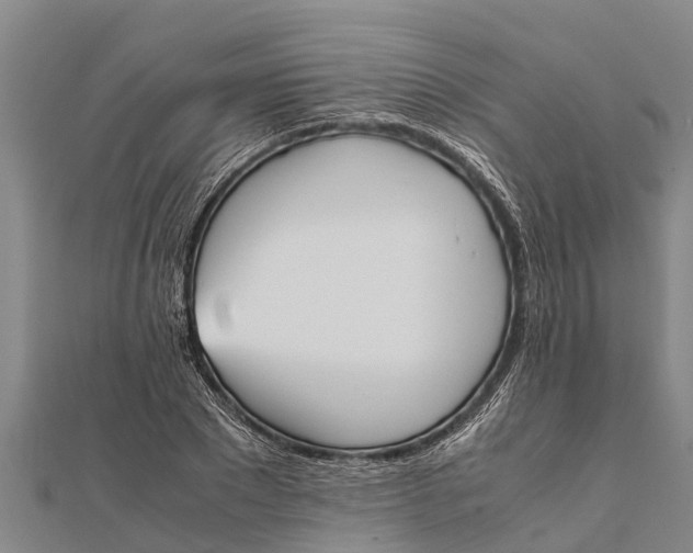 X0000111530881200908041302