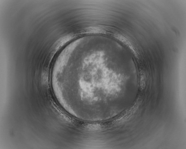 X0000111530882200908041302