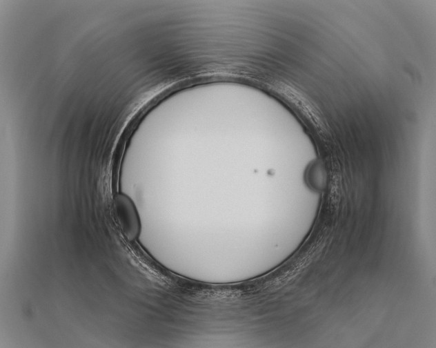 X0000111530884200908041302