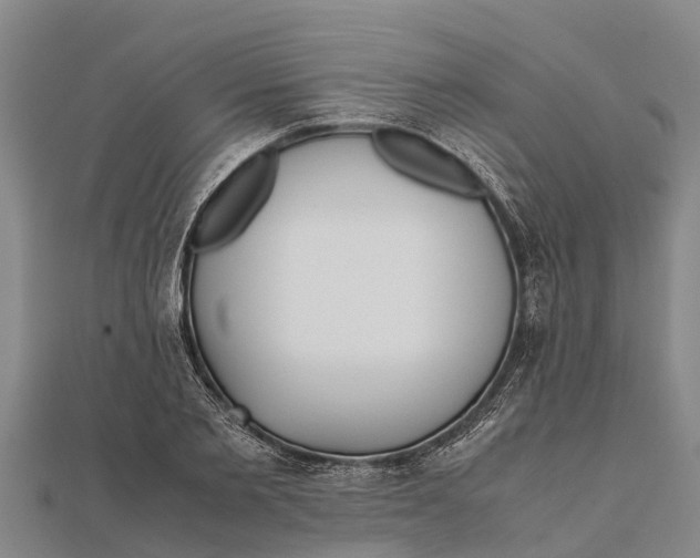 X0000111530885200908041302