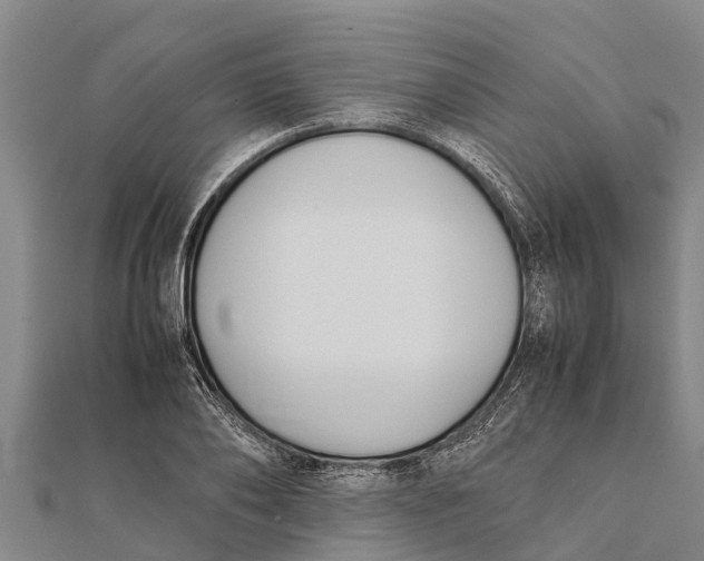 X0000111530886200908041302