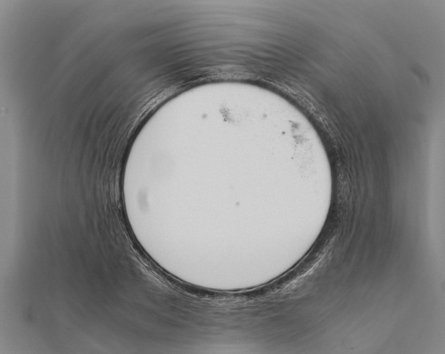 X0000111530889200908041302