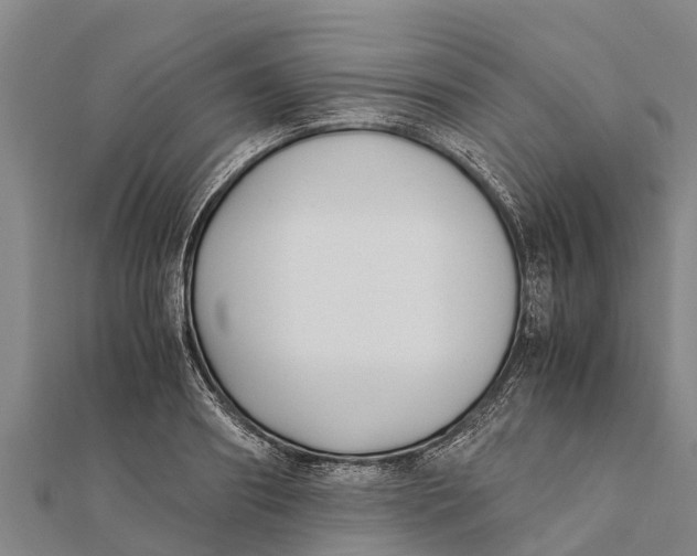 X0000111530890200908041302