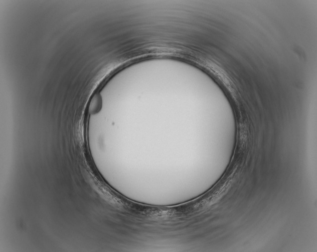 X0000111530891200908041302