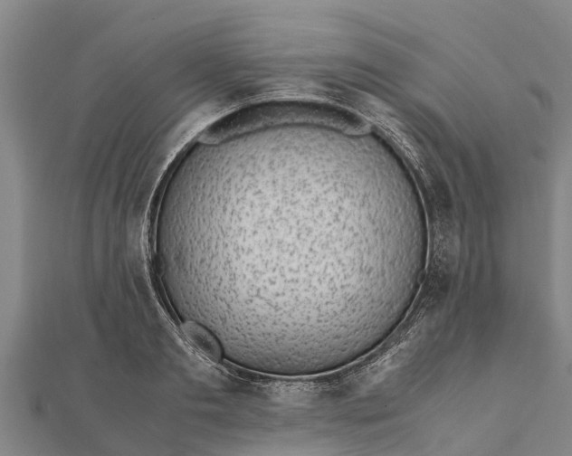 X0000111530893200908041302