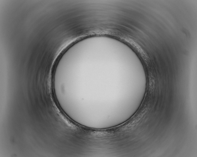 X0000111530894200908041302