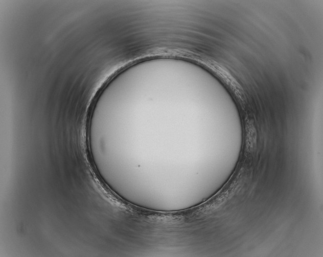 X0000111530896200908041302