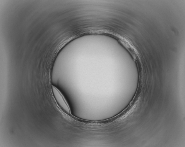 X0000111530897200908041302