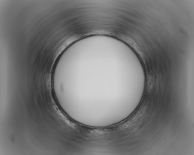 X0000111530898200908041302