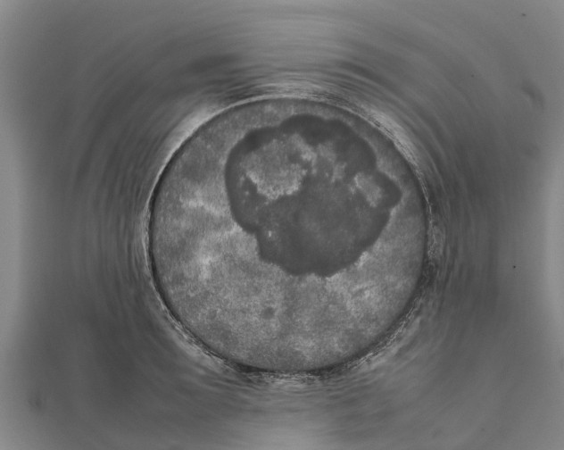 X0000111530899200908041302