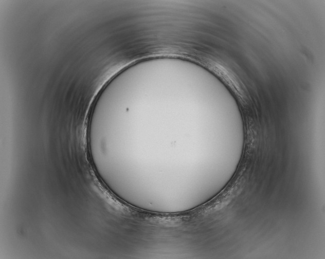 X0000111530900200908041302