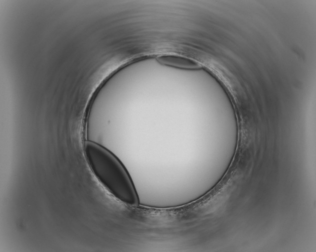 X0000111530901200908041302