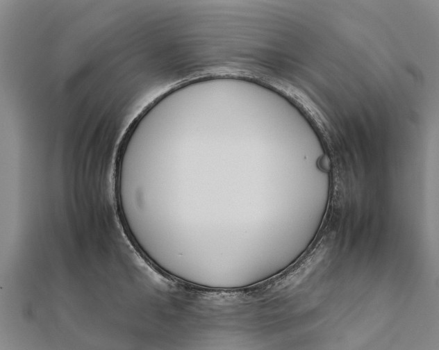 X0000111530902200908041302