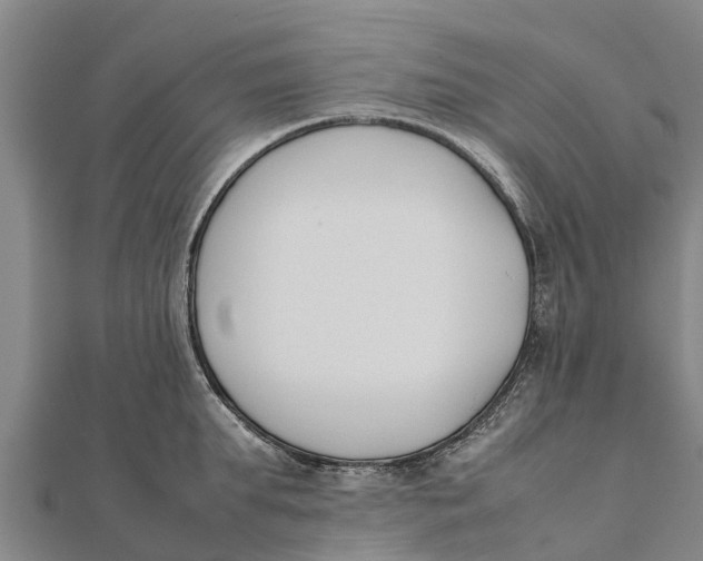 X0000111530903200908041302