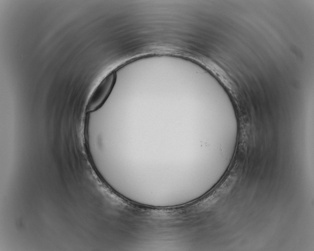 X0000111530904200908041302