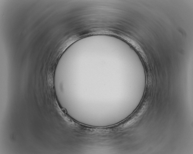 X0000111530905200908041302