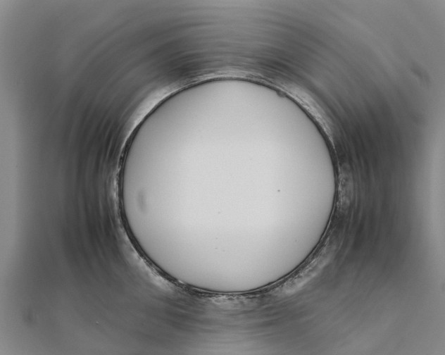 X0000111530906200908041302