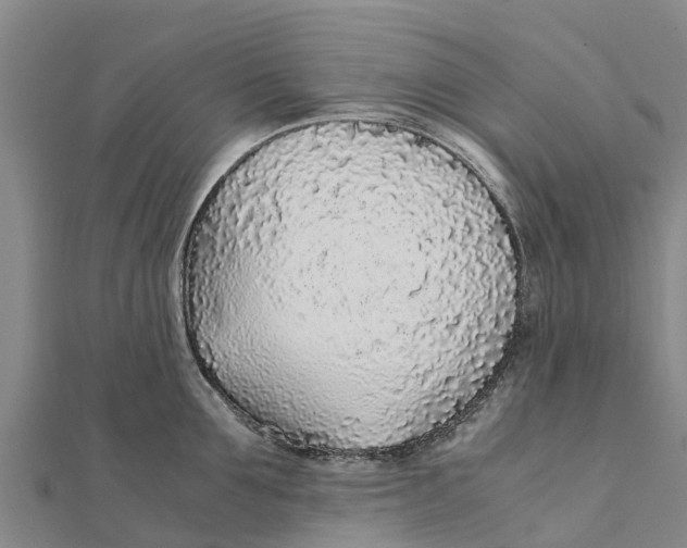 X0000111530907200908041302