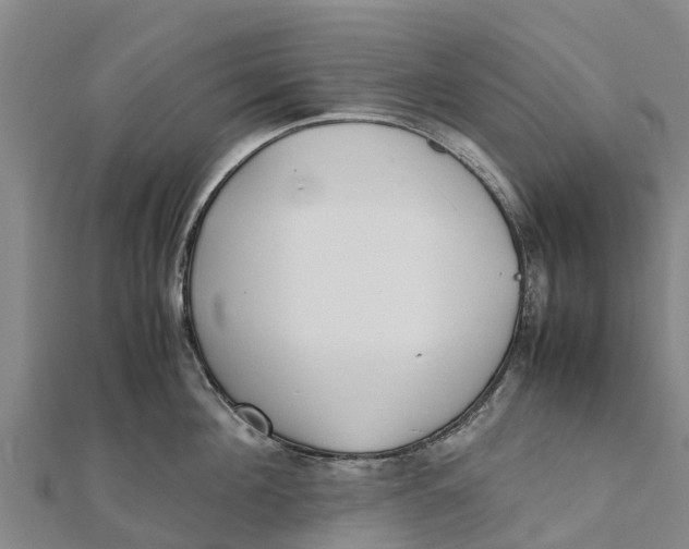 X0000111530908200908041302