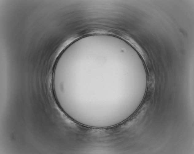 X0000111530909200908041302