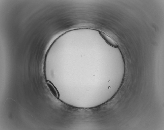 X0000111530912200908041302