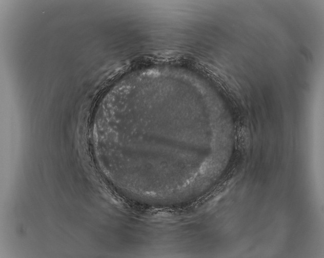 X0000111530913200908041301