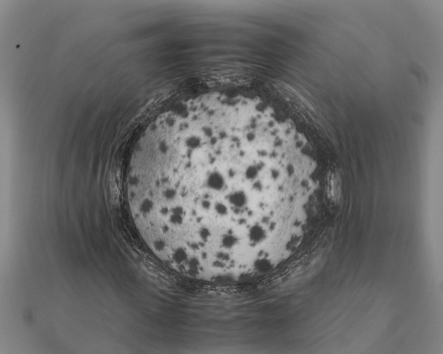 X0000111530915200908041301