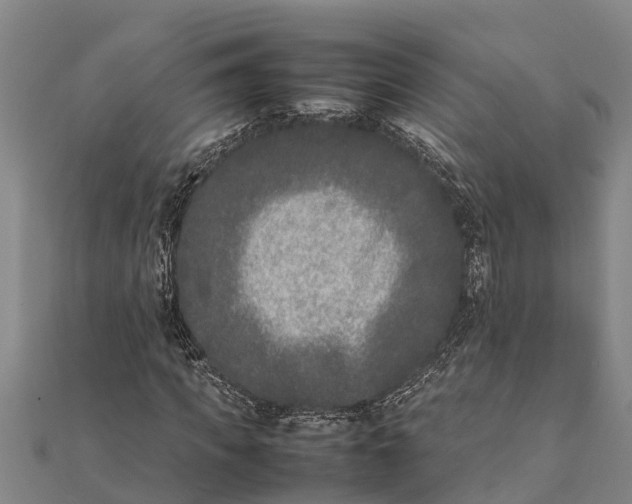 X0000111530917200908041301