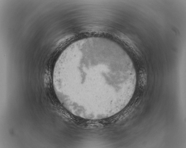 X0000111530918200908041301