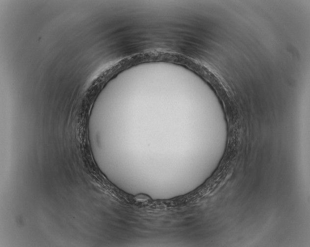 X0000111530919200908041301