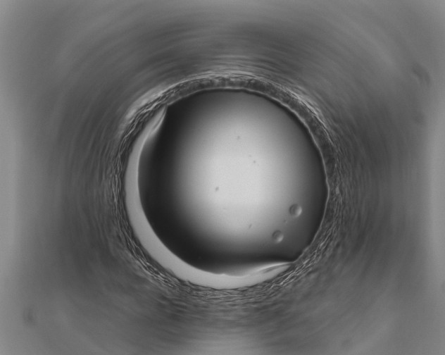 X0000111530920200908041301