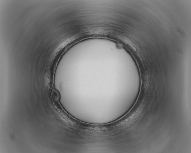 X0000111530922200908041301