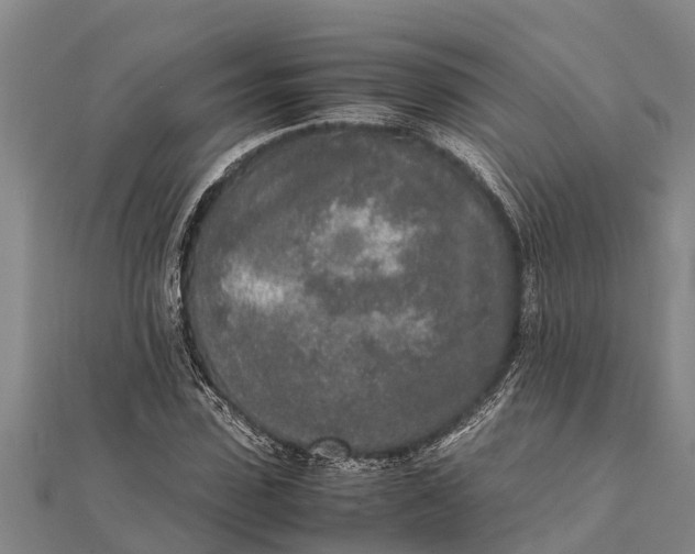 X0000111530923200908041301