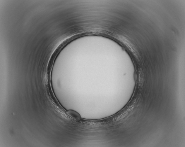 X0000111530924200908041301