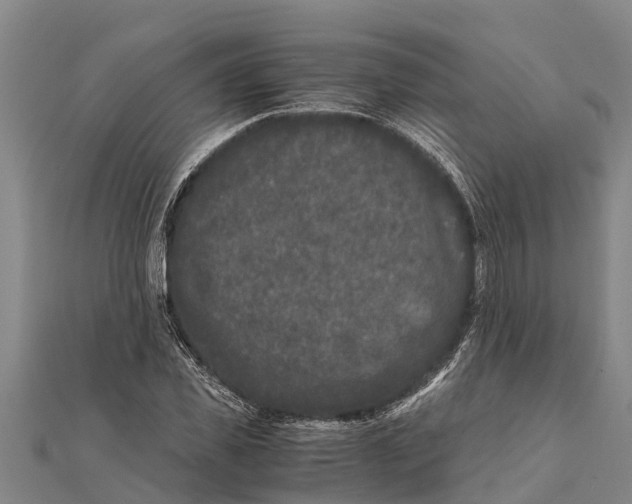 X0000111530925200908041302