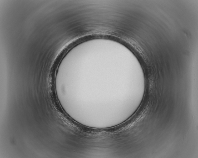 X0000111530926200908041302