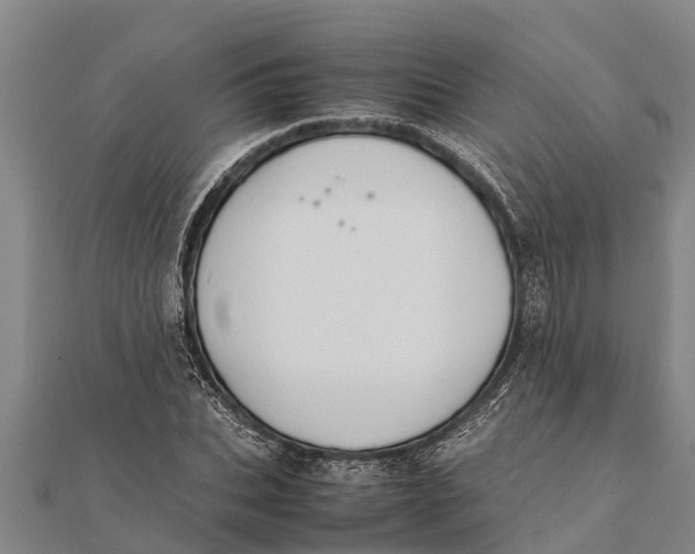 X0000111530927200908041302