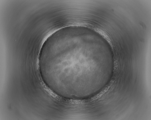 X0000111530928200908041302