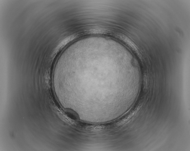 X0000111530930200908041302