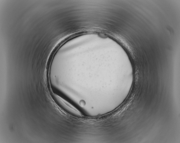 X0000111530932200908041302