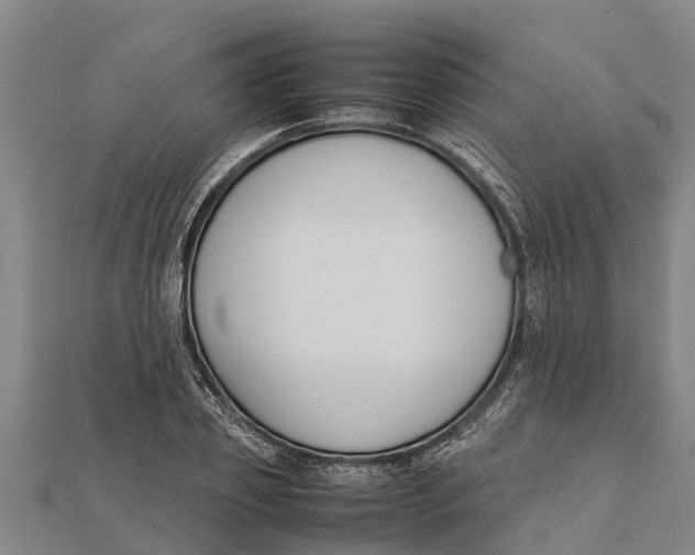 X0000111530933200908041302