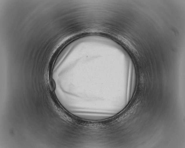 X0000111530934200908041302