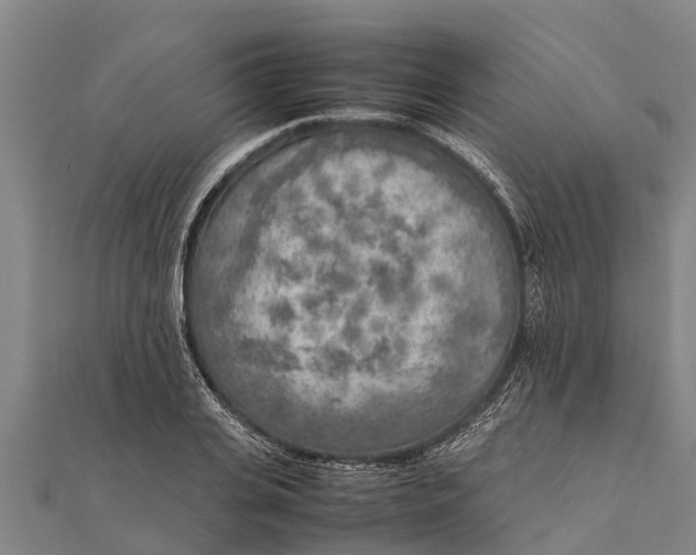 X0000111530935200908041302