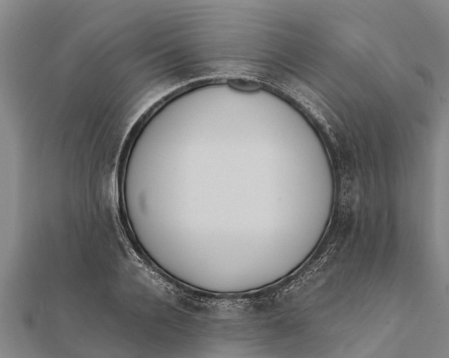 X0000111530936200908041302