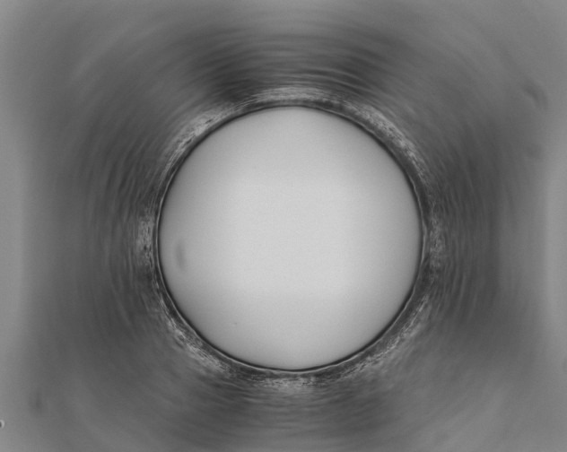 X0000111530937200908041302