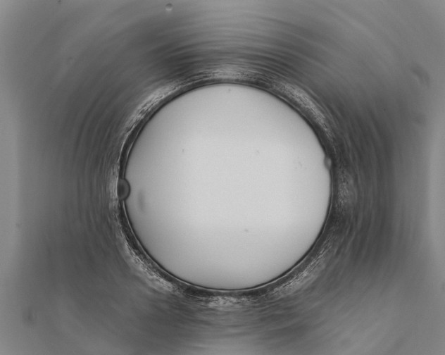 X0000111530938200908041302